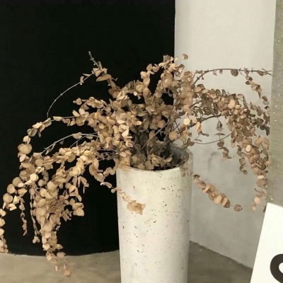 兽设场景氛围营造兽圈社群